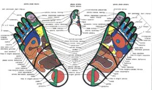 mappa di reflessologia plantare