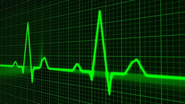 incremento delle pulsazioni cardiache durante l'attività fisica