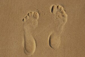 plantari per chi corre