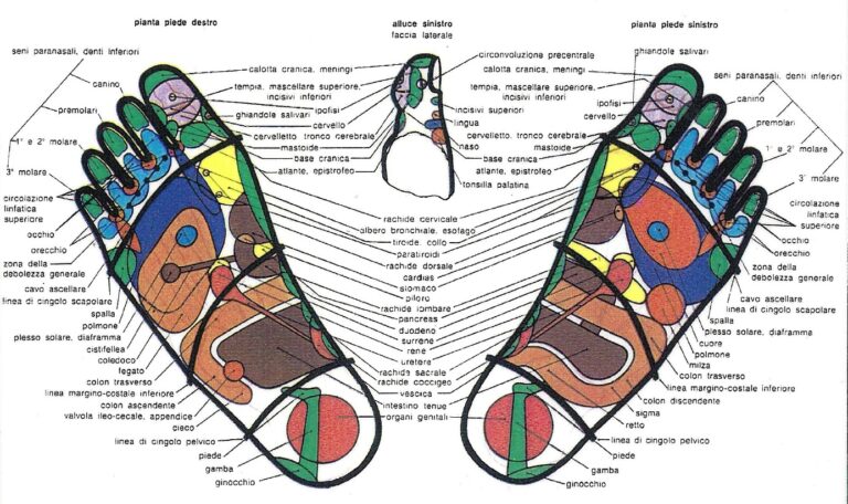 mappa di reflessologia plantare secondo Elipio Zamboni